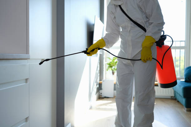 Why You Should Choose Our Mold Remediation Services in Pisgah, AL